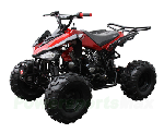 We got my 125cc Quad at powersportsmax.com My Quad
